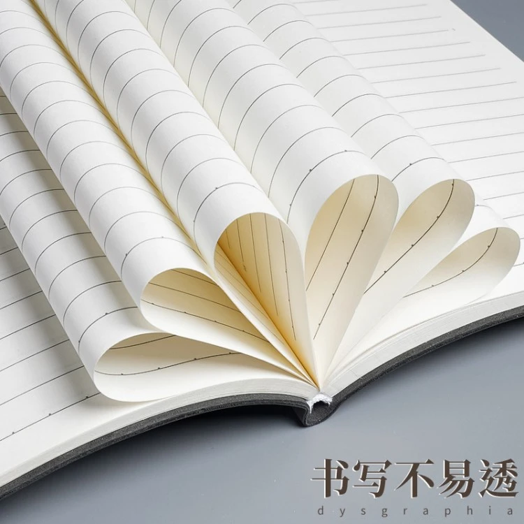 Notebook paper detail