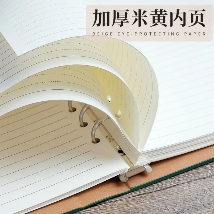 Loose-Leaf notebook for work product view 6